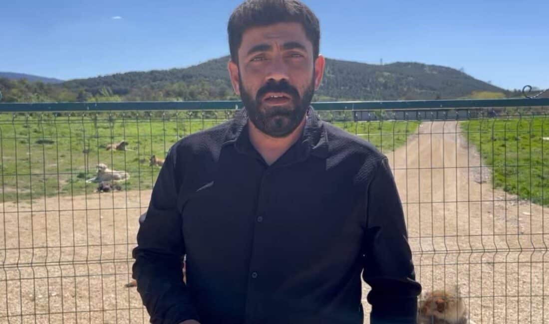 Bursa’nın Osmangazi ilçesinde, belediyeye ait Hamitler Hayvan Barınağı’nda yaşandığı iddia