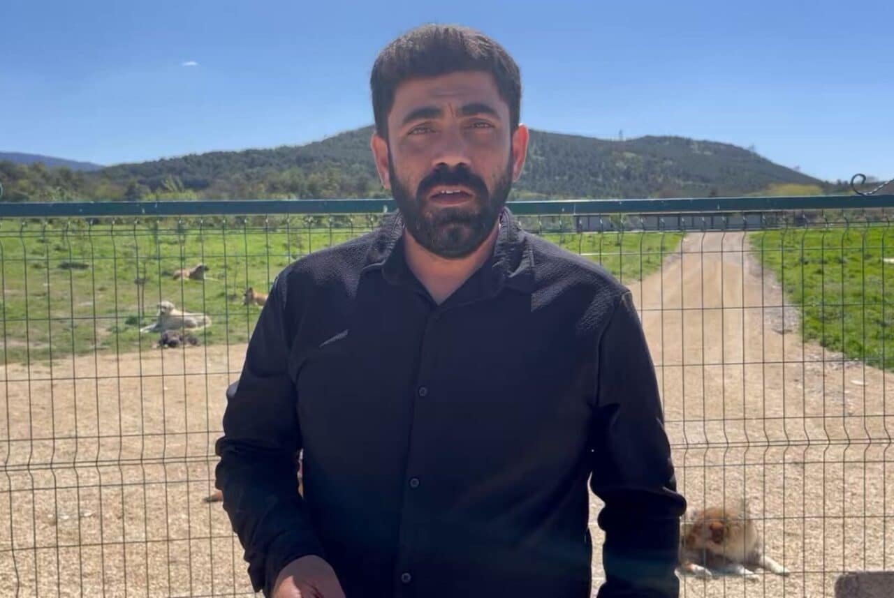 Bursa’nın Osmangazi ilçesinde, belediyeye ait Hamitler Hayvan Barınağı’nda yaşandığı iddia