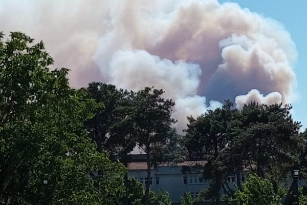 İsrail'in yangınla mücadele çalışmaları devam ediyor. IDF, 50 itfaiye aracıyla