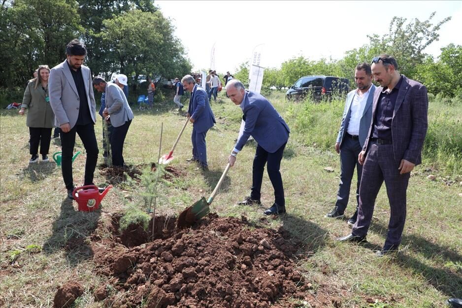 Çavuşköy mevkiinde Orman İşletme Müdürlüğü ve Milli Eğitim Müdürlüğü iş