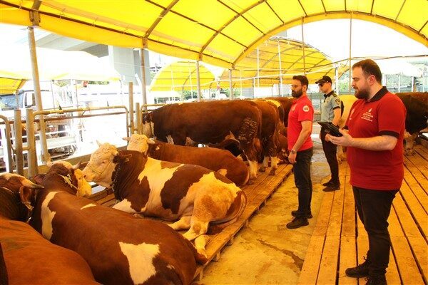 Getirilen hayvanların veteriner sağlık raporu, pasaport/nakil belgesi, küpe gibi belgelerini