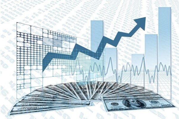 Kamuyu Aydınlatma Platformuna (KAP) yapılan açıklamada, ''Şirketimizin 2024 yılı faaliyetlerinden
