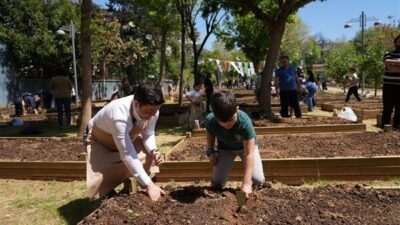 Kadıköy Belediyesi, Kadıköy Bostanları'nı kullanacak 296 aileyi seçti. Aileler, belediyenin