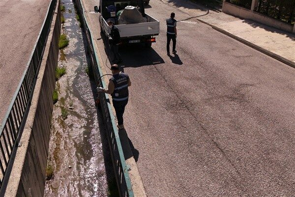 Karabük Belediyesi Veteriner İşleri Müdürlüğü ekipleri tarafından yürütülen çalışmalarla tüm