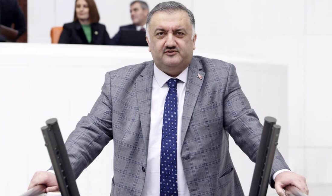 DEVA Partisi Genel Başkan Yardımcısı ve İstanbul Milletvekili Hasan Karal