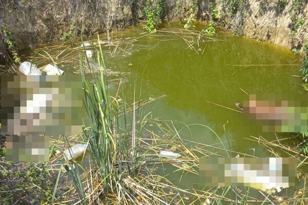Keşan ilçesindeki Asri Mezarlık’a bir kilometre mesafede bulunan su birikintisinde