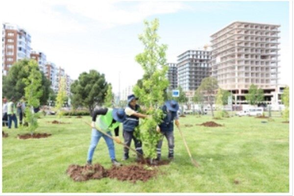 Kavşak ve refüj düzenleme işi kapsamında Park ve Bahçeler Dairesi