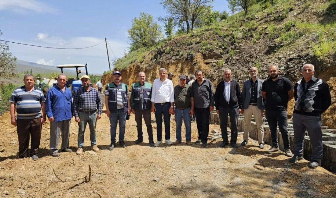 Malatya'nın Pütürge ilçesindeki Taşmış Mahallesi'nde Çermik ve Ali Mirzi Mevkileri