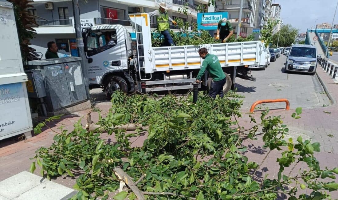 Şiddetli rüzgar ve fırtına Manisa’nın birçok noktasında ağaçların zarar görmesine