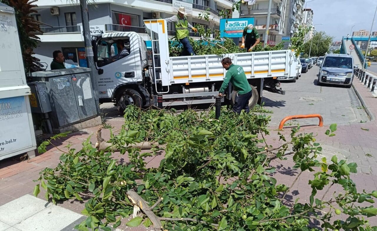 Şiddetli rüzgar ve fırtına Manisa’nın birçok noktasında ağaçların zarar görmesine