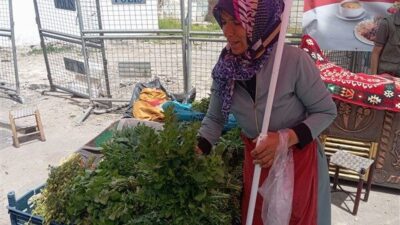 Diyarbakır'a yerleşen Melek Özdemir, eşinin vefatından sonra altı çocuğuyla geçimini