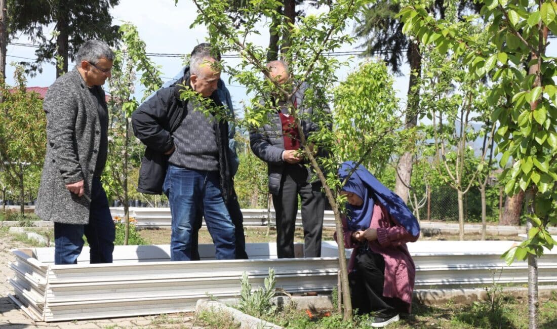Ordu Büyükşehir Belediyesi ve ORMEK iş birliğiyle düzenlenen Meyve Ağaçlarında