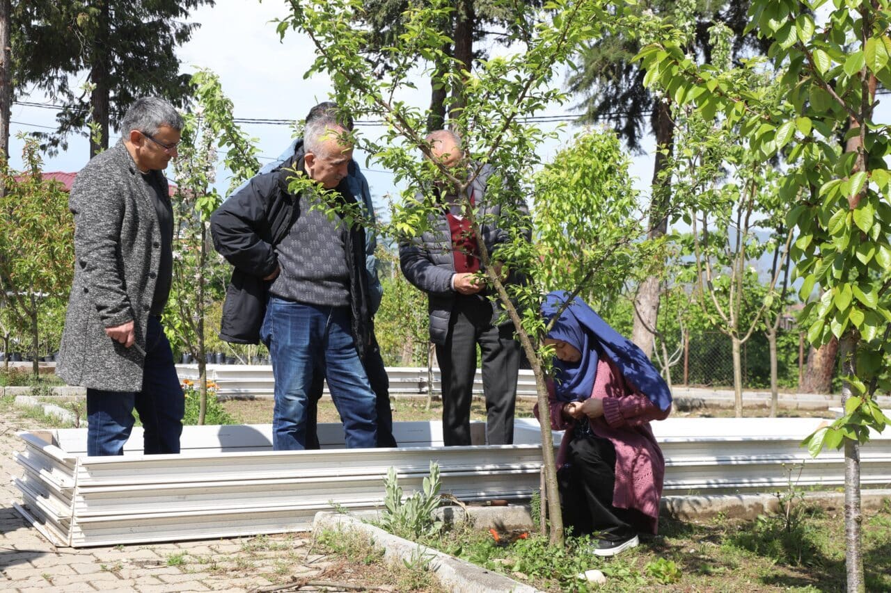Ordu Büyükşehir Belediyesi ve ORMEK iş birliğiyle düzenlenen Meyve Ağaçlarında