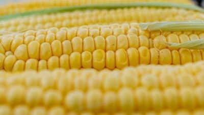 Ticaret Bakanlığı, yerli üretimi desteklemek ve fiyat istikrarını sağlamak için