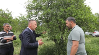Büyükşehir Belediyesi; Köyceğiz ilçesinin Kavakarası Beyobası, Hamitköy, Döğüşbelen, Zaferler ve