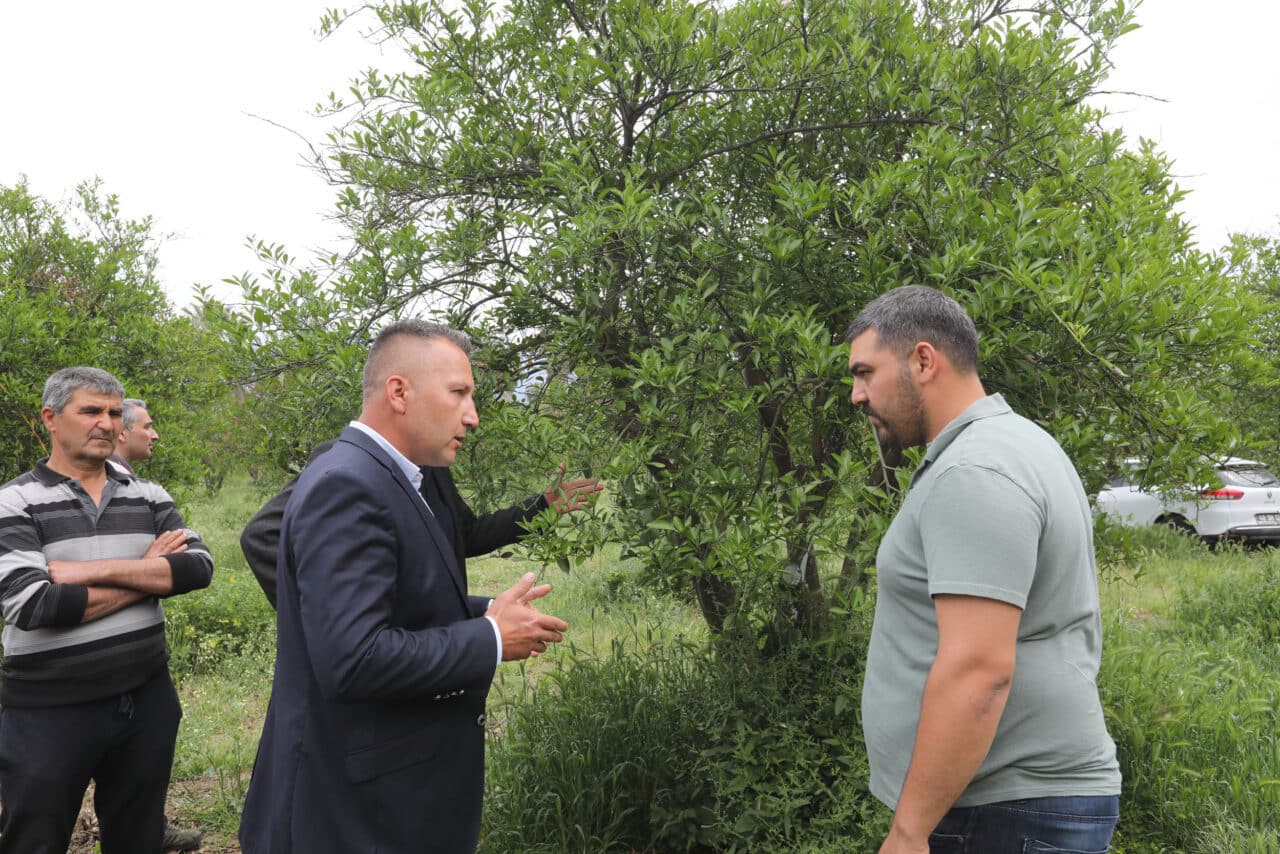 Büyükşehir Belediyesi; Köyceğiz ilçesinin Kavakarası Beyobası, Hamitköy, Döğüşbelen, Zaferler ve