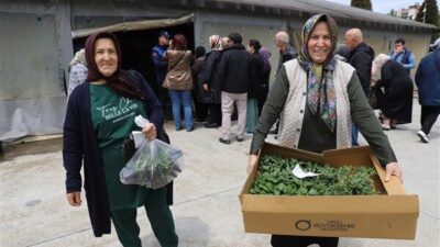 Ordu Büyükşehir Belediyesi, kendi seralarında şu ana kadar ürettiği 4