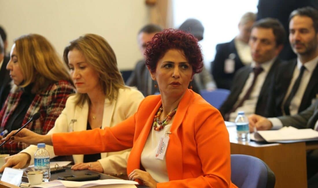 Emekli ve Emekçiler Dernekleri Federasyonu Genel Başkanı Gönül Boran Özüpak,