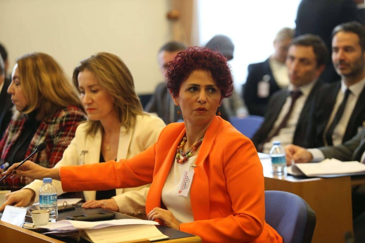 Emekli ve Emekçiler Dernekleri Federasyonu Genel Başkanı Gönül Boran Özüpak,