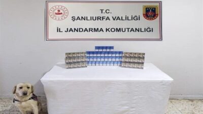 Şanlıurfa'da tütün ve alkol kaçakçılarına yönelik yapılan operasyonlarda 980 paket