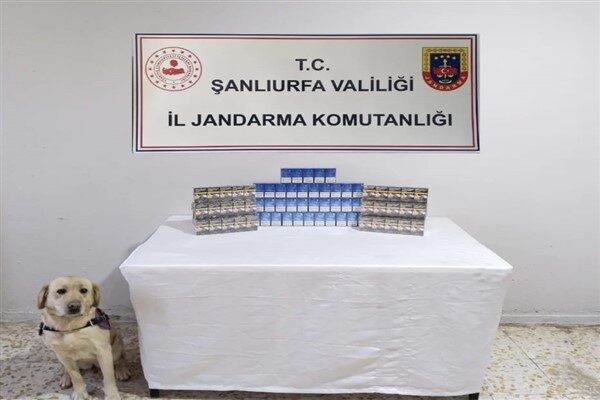 Şanlıurfa'da tütün ve alkol kaçakçılarına yönelik yapılan operasyonlarda 980 paket