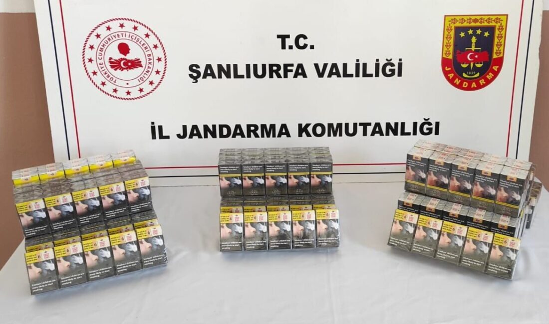 Şanlıurfa'da yapılan denetimlerde binlerce kaçak sigara ve tütün malzemesi ele