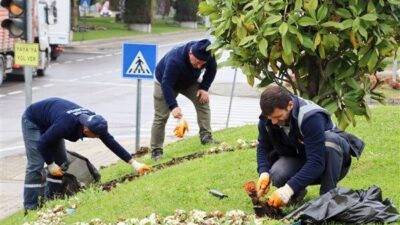 Yalova Belediyesi, Tonami Meydanı'nda kışlık çiçeklerin söküm işlemlerini tamamlayarak yaz