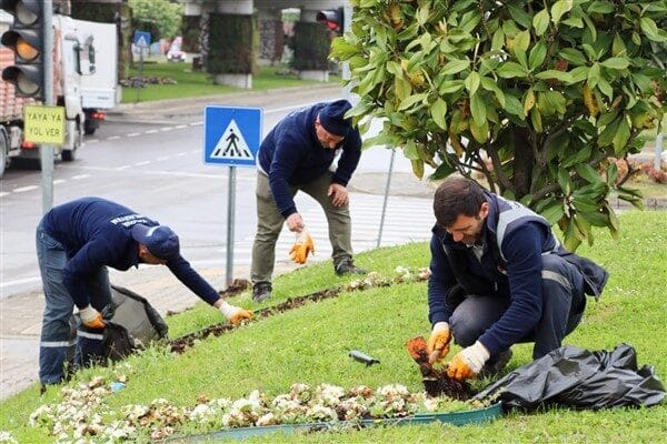 Yalova Belediyesi, Tonami Meydanı'nda kışlık çiçeklerin söküm işlemlerini tamamlayarak yaz