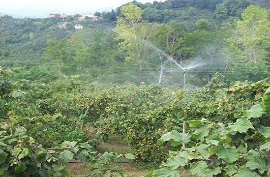 Ordu Valisi Muammer Erol, Tarım ve Orman Bakanlığının uyarısı doğrultusunda,