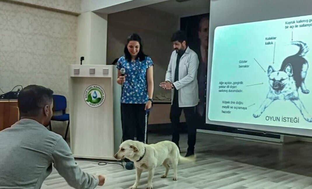 Veteriner İşleri Daire Başkanlığı, toplumda hayvan haklarına dair farkındalık yaratmayı