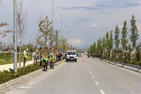 Büyükşehir Belediyesi tarafından yapılan temizlik çalışmaları kapsamında şehirdeki park, bahçe