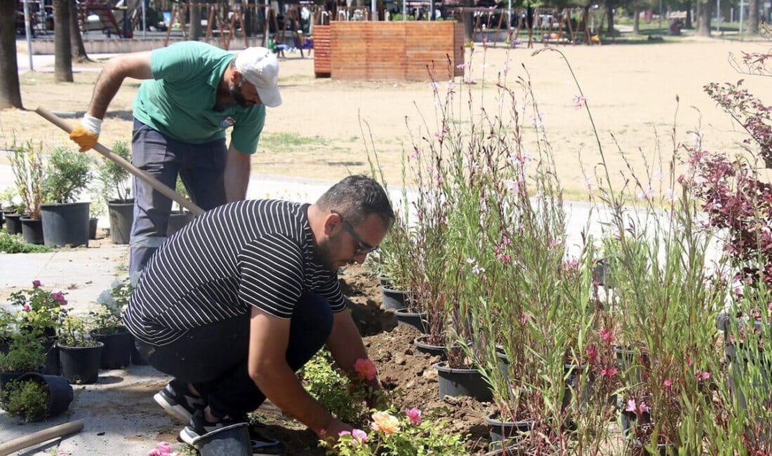 Yalova Belediyesi Fen İşleri Müdürlüğü, İsmetpaşa Mahallesi Ömür Sokak’ta parke