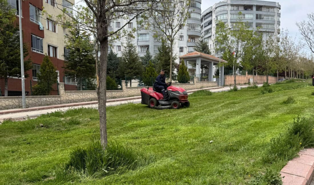Yaz dönemi boyunca planlı ve koordineli bir şekilde, çim ve