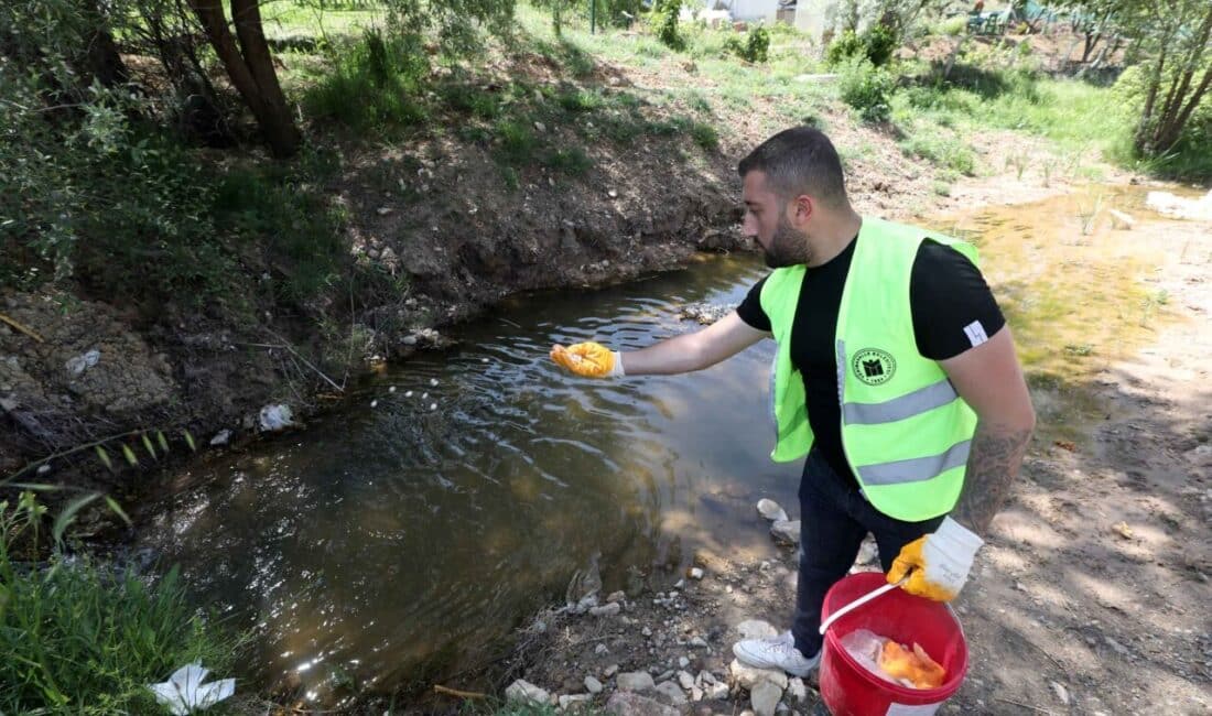 Yenimahalle Belediyesi Temizlik İşleri Müdürlüğü ekipleri, yaz aylarında ilçe sakinlerinin