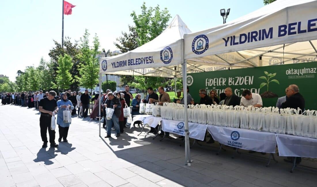 Park Bahçeler Müdürlüğü seralarında yetiştirilen domates, süs biberi ve salatalık