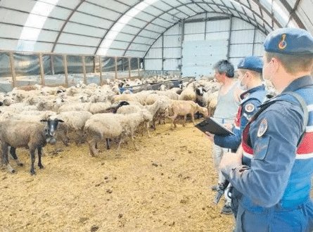 Gökçeada'da Savcıyı öldürmek için kiralık katil tutmuşlar!