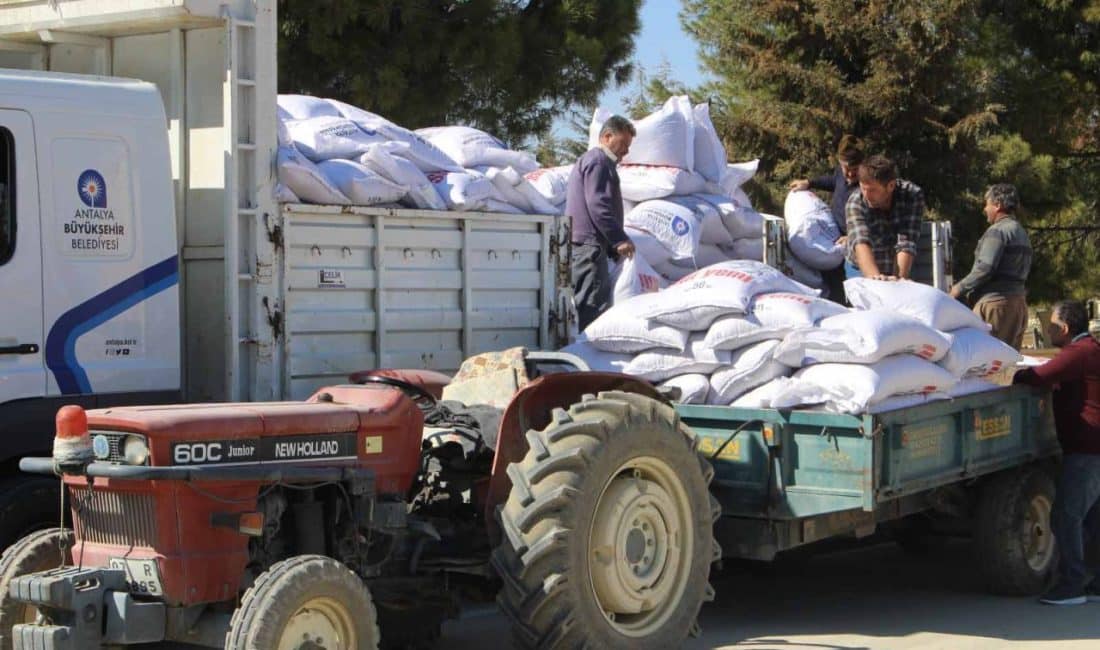 Antalya Büyükşehir Belediyesi Tarımsal Hizmetler Dairesi Başkanlığı, Korkuteli ilçesinde hayvancılıkla