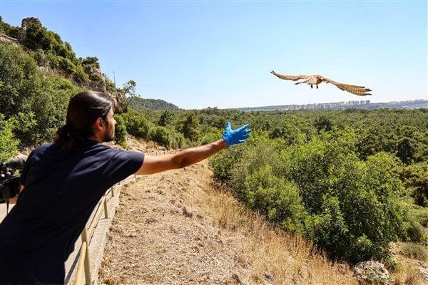 Antalya Doğal Yaşam Parkı Müdürü Veteriner Hekim Dr. Aygül Arsun,