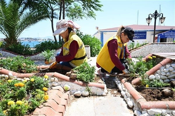 Park ve Bahçeler Dairesi Başkanlığı ekipleri, Didim’in ana arterlerinde peyzaj