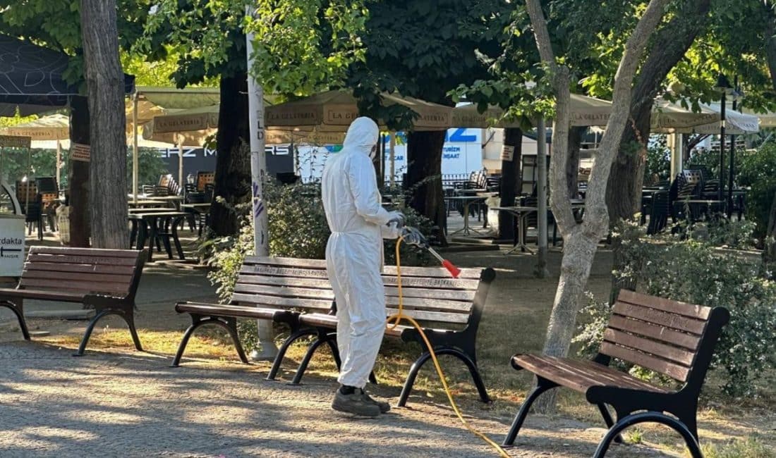 Artan kene vakalarına karşı ortak mücadele eden Bakırköy Belediyesi ve