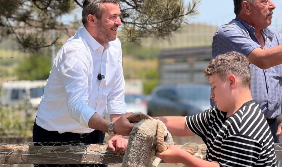 İlk olarak Yenice Yolu üzerindeki mezbaha alanında kurulan Hayvan Pazarı’na