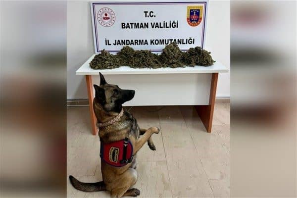 Batman İl Jandarma Komutanlığı, Kaçakçılık ve Organize Suçlarla Mücadele Şube
