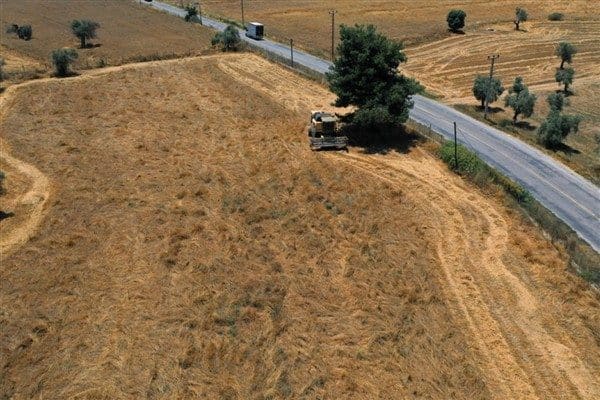Bodrum Belediyesi Tarımsal Hizmetler Müdürlüğü, tarımsal üretimi desteklemek ve yerli