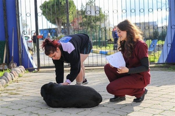 Buca Belediyesi, Sokak Hayvanları Rehabilitasyon Merkezi’nde sahiplenilen tüm canların kısırlaştırma