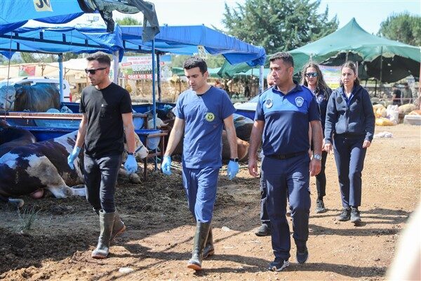 Buca Belediyesi Veterinerlik İşleri Müdürlüğü ve Zabıta Müdürlüğü’ne bağlı ekipler,