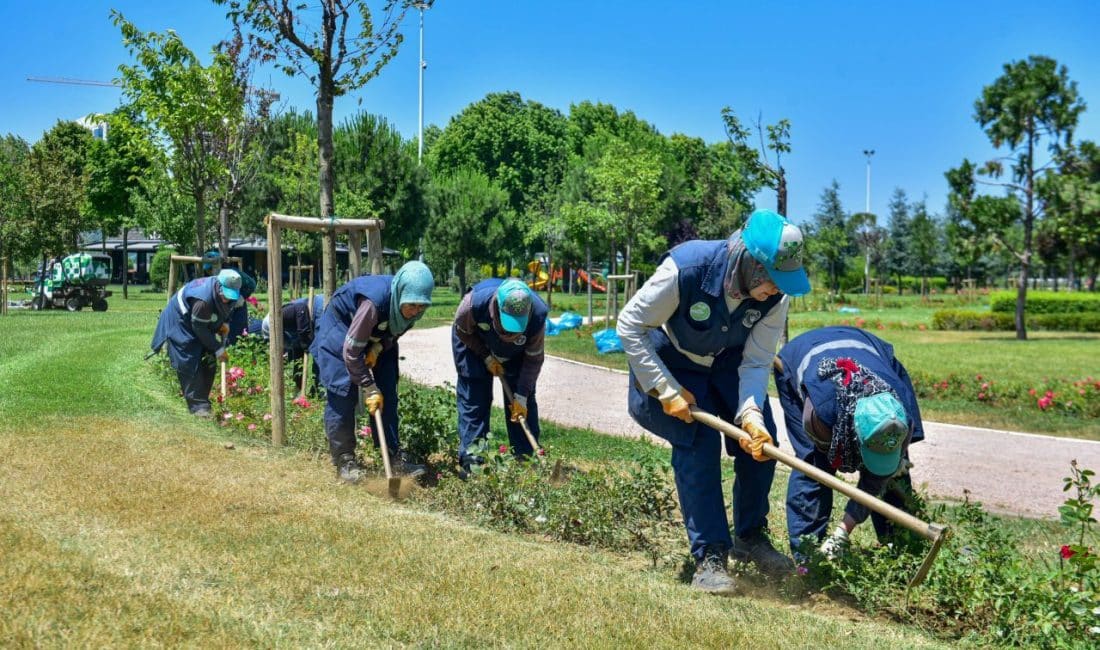 Park Bahçeler Dairesi Başkanlığı ve Tarım Peyzaj AŞ iş birliğinde