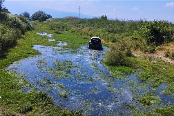 Özellikle yaz sezonunda önemli bir halk sağlığı sorunu olarak ortaya