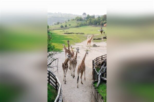 Bayramların, birlik ve beraberliğin pekiştiği özel günler olduğunu vurgulayan Büyükkılıç,