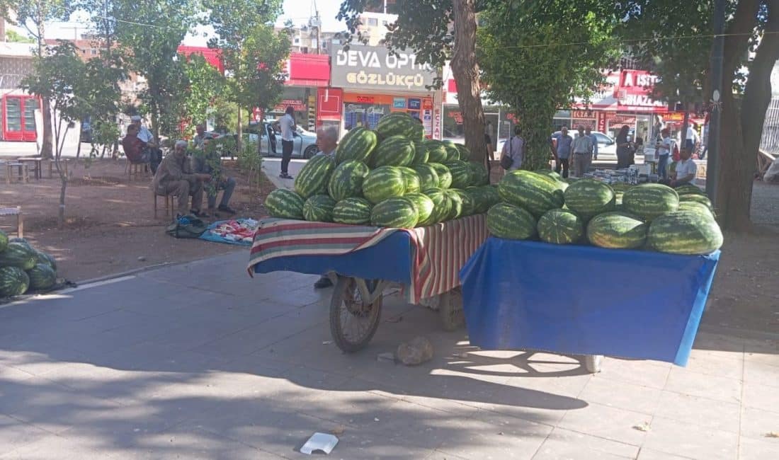 25 yıldır kendi köyünde Diyarbakır karpuzu yetiştiren ve Hibya Haber