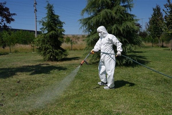 Düzce Belediyesi yaz mevsimi ile birlikte sivrisinek, kene ve benzeri